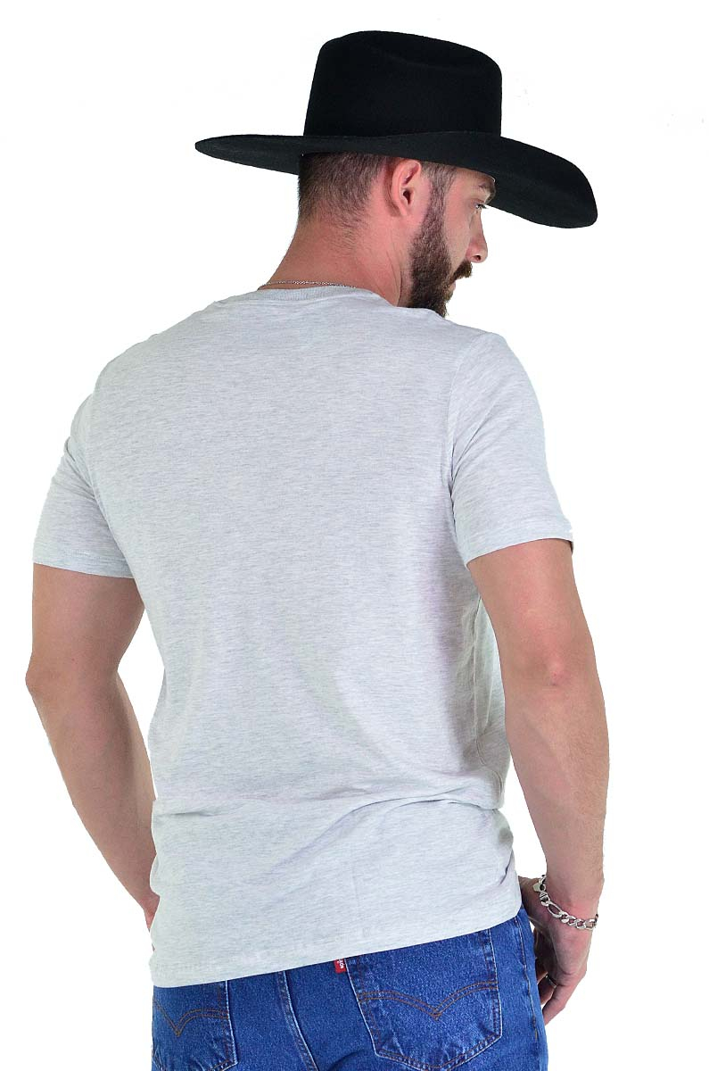 Camiseta Radade Bordada Cinza - 1374